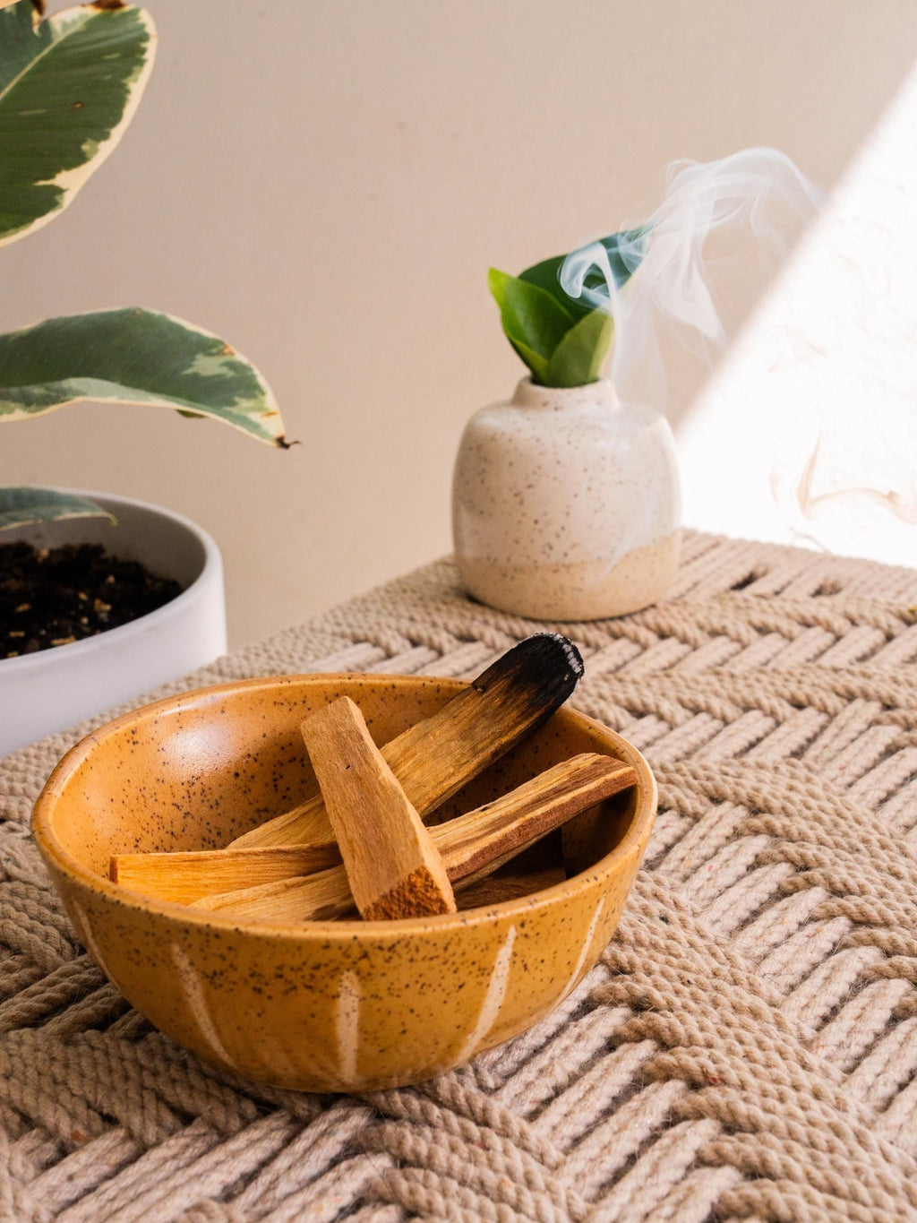 Palo Santo | Set of 5